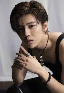 董子健综艺爆料鹿晗视频,董子健爆料鹿晗幕后故事 第3张 董子健综艺爆料鹿晗视频,董子健爆料鹿晗幕后故事 第3张