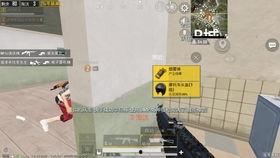 和平精英最新爆料 旭升,和平精英新势力崭露头角 第3张 和平精英最新爆料 旭升,和平精英新势力崭露头角 第3张