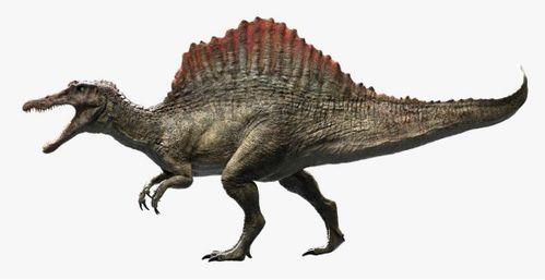 最新爆料异特龙图片大全,揭秘史前巨兽的真实面貌